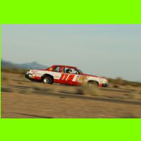 581 - LeMons Chuckwalla 2012.jpg